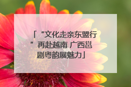 “文化走亲东盟行”再赴越南 广西邕剧粤韵展魅力